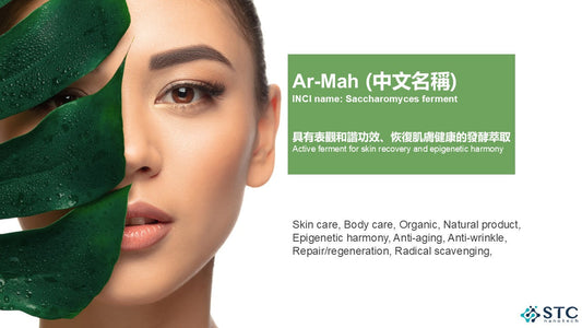 STC Ar-Mah氧化鋅燒燙傷敷料