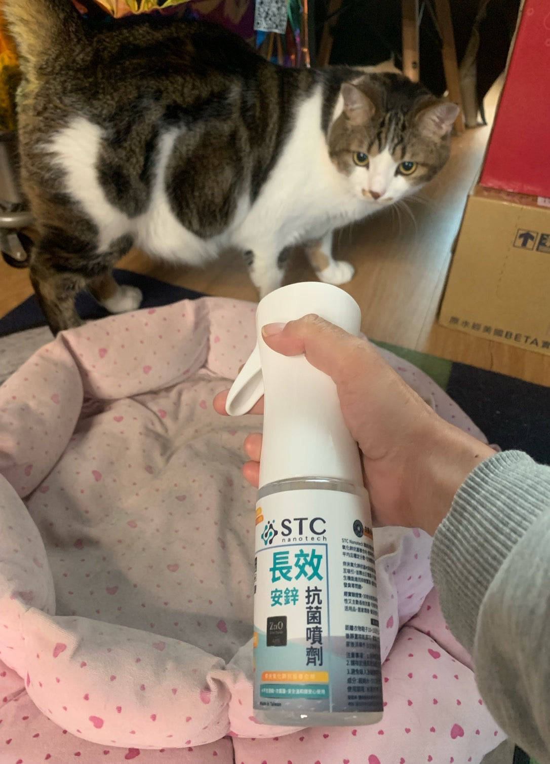 STC Nanotech安鋅長效抗菌噴劑(衣物用)(寵物用品適用)